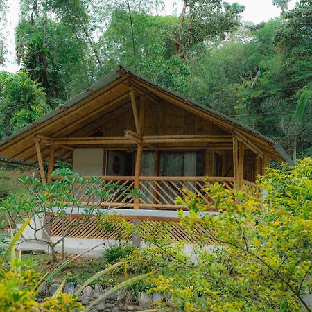 Finca Las Palmas Ecolodge Puyo Dış mekan fotoğraf