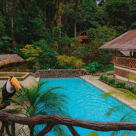 Finca Las Palmas Ecolodge Puyo Dış mekan fotoğraf