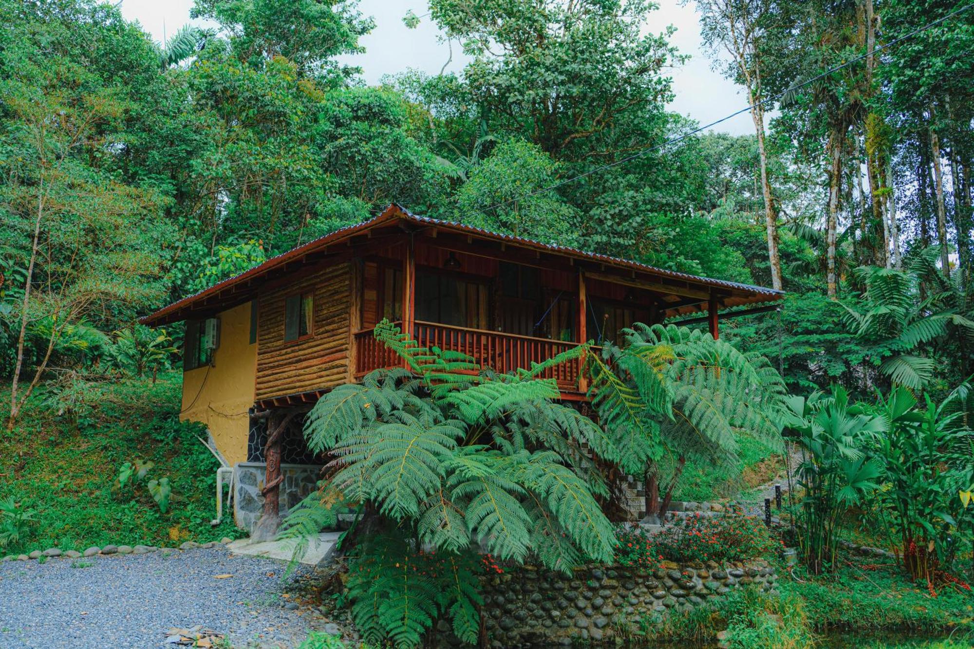 Finca Las Palmas Ecolodge Puyo Dış mekan fotoğraf