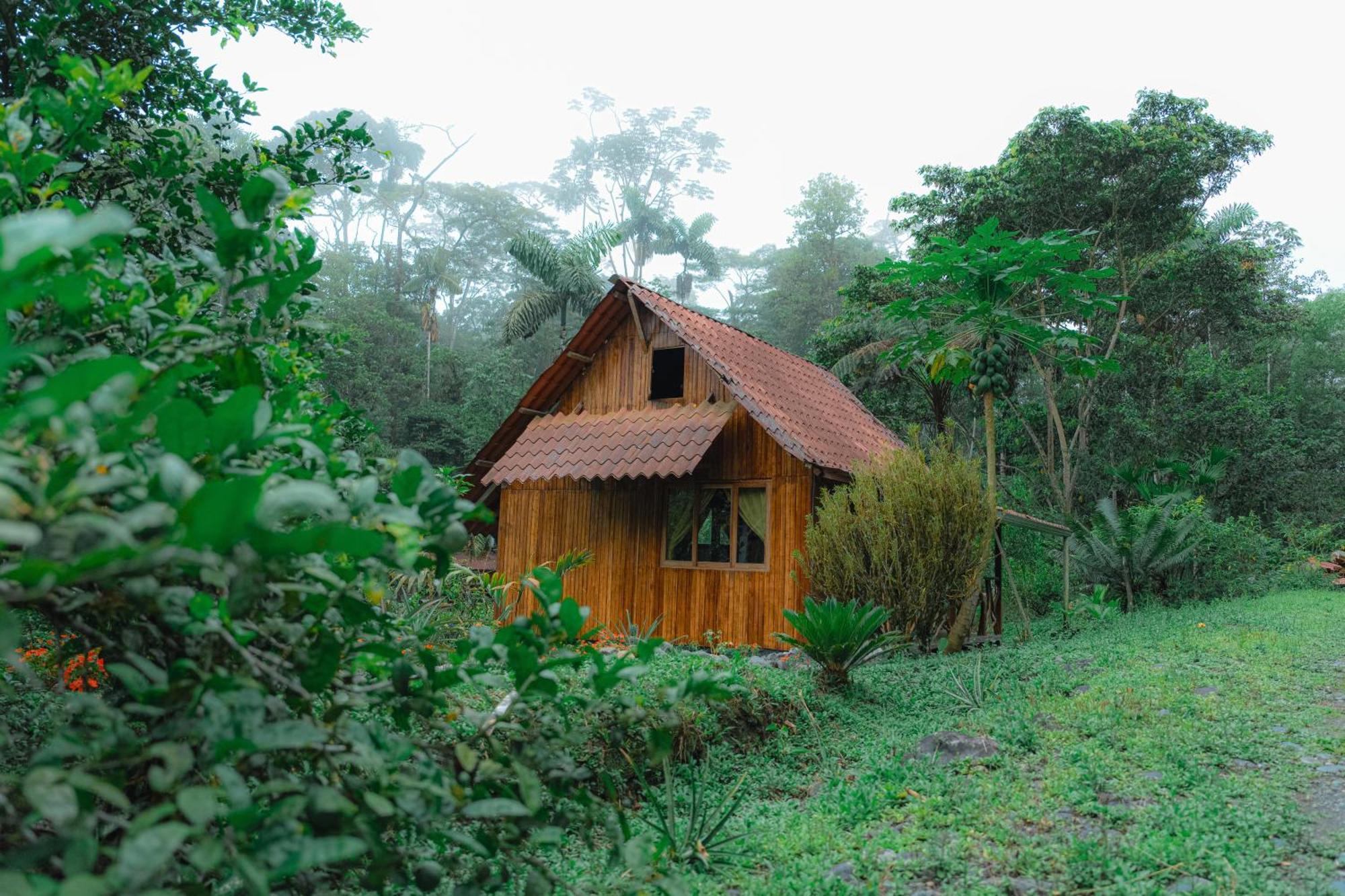 Finca Las Palmas Ecolodge Puyo Dış mekan fotoğraf