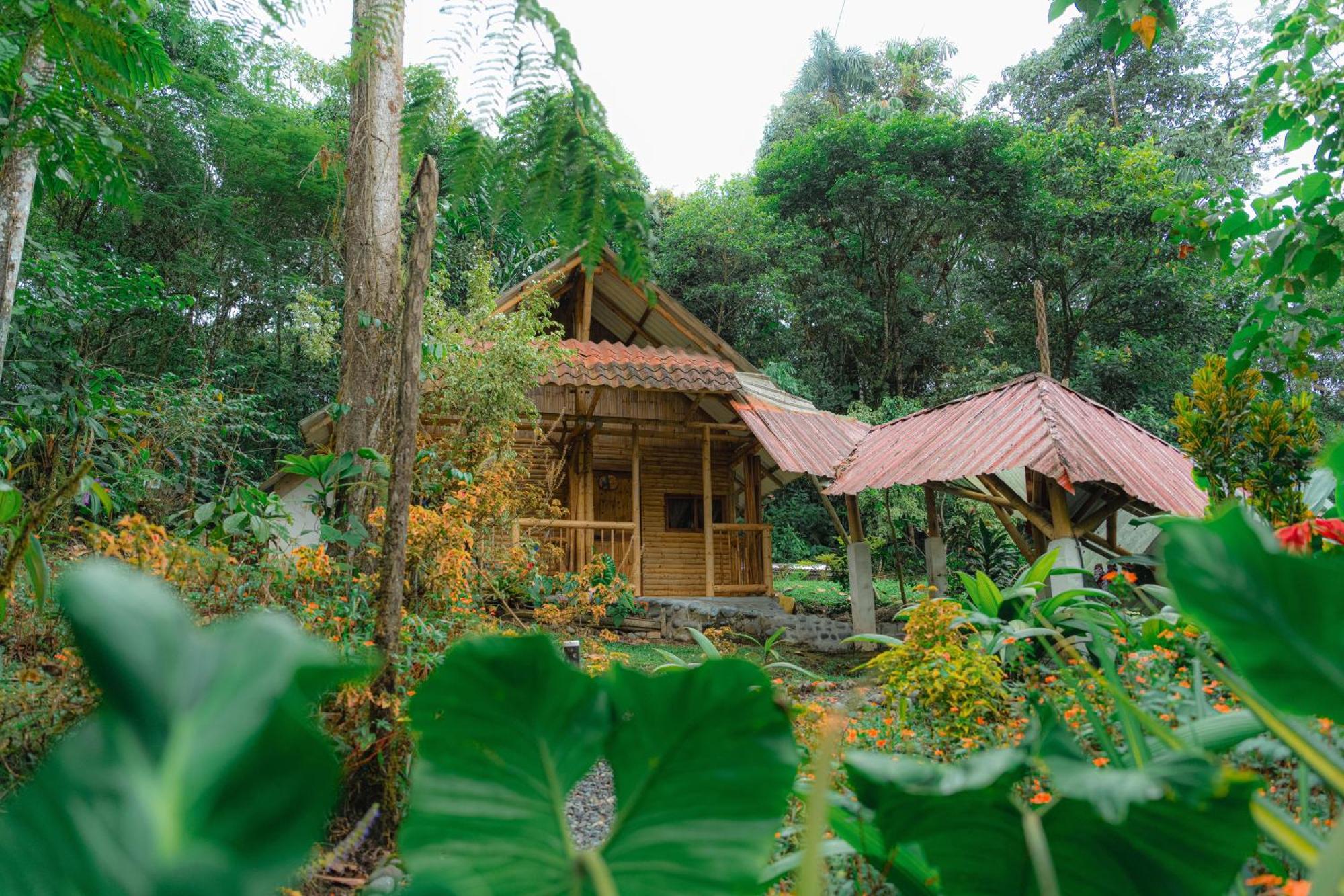 Finca Las Palmas Ecolodge Puyo Dış mekan fotoğraf