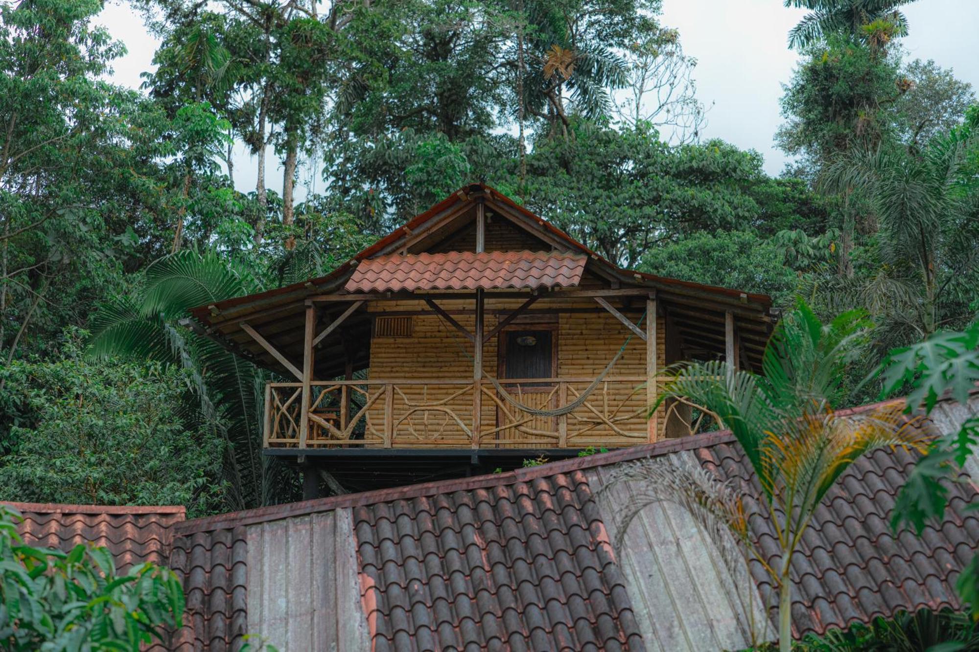 Finca Las Palmas Ecolodge Puyo Dış mekan fotoğraf