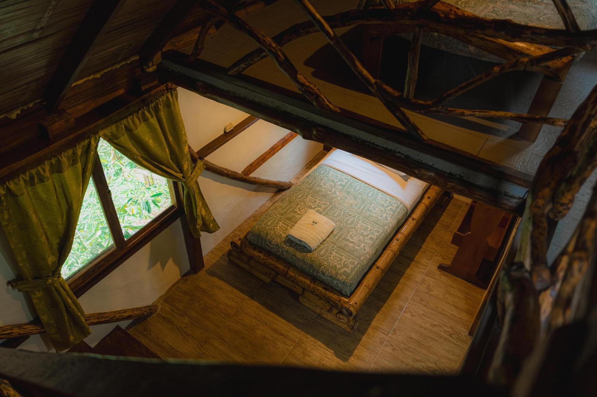 Finca Las Palmas Ecolodge Puyo Dış mekan fotoğraf