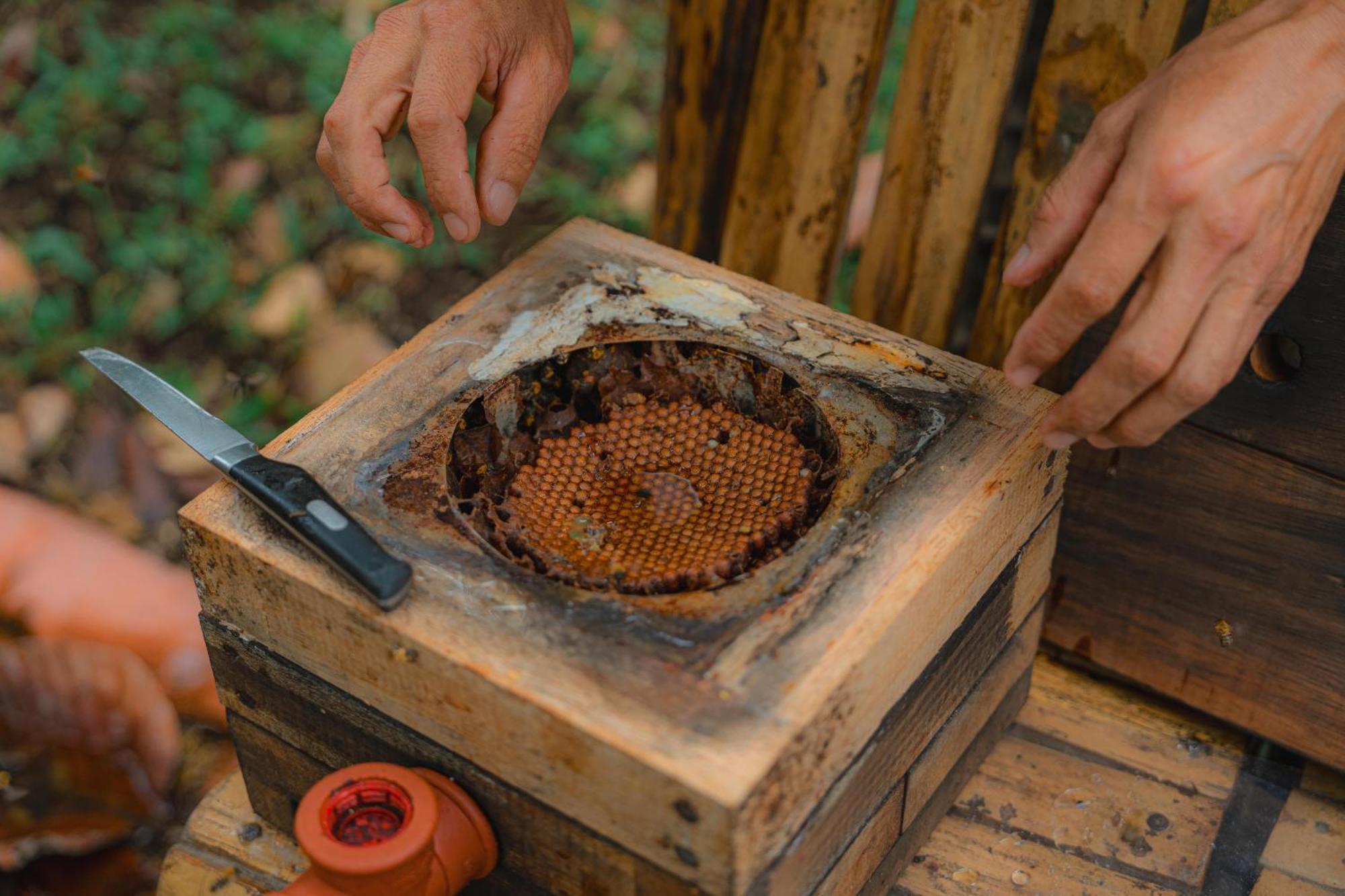 Finca Las Palmas Ecolodge Puyo Dış mekan fotoğraf