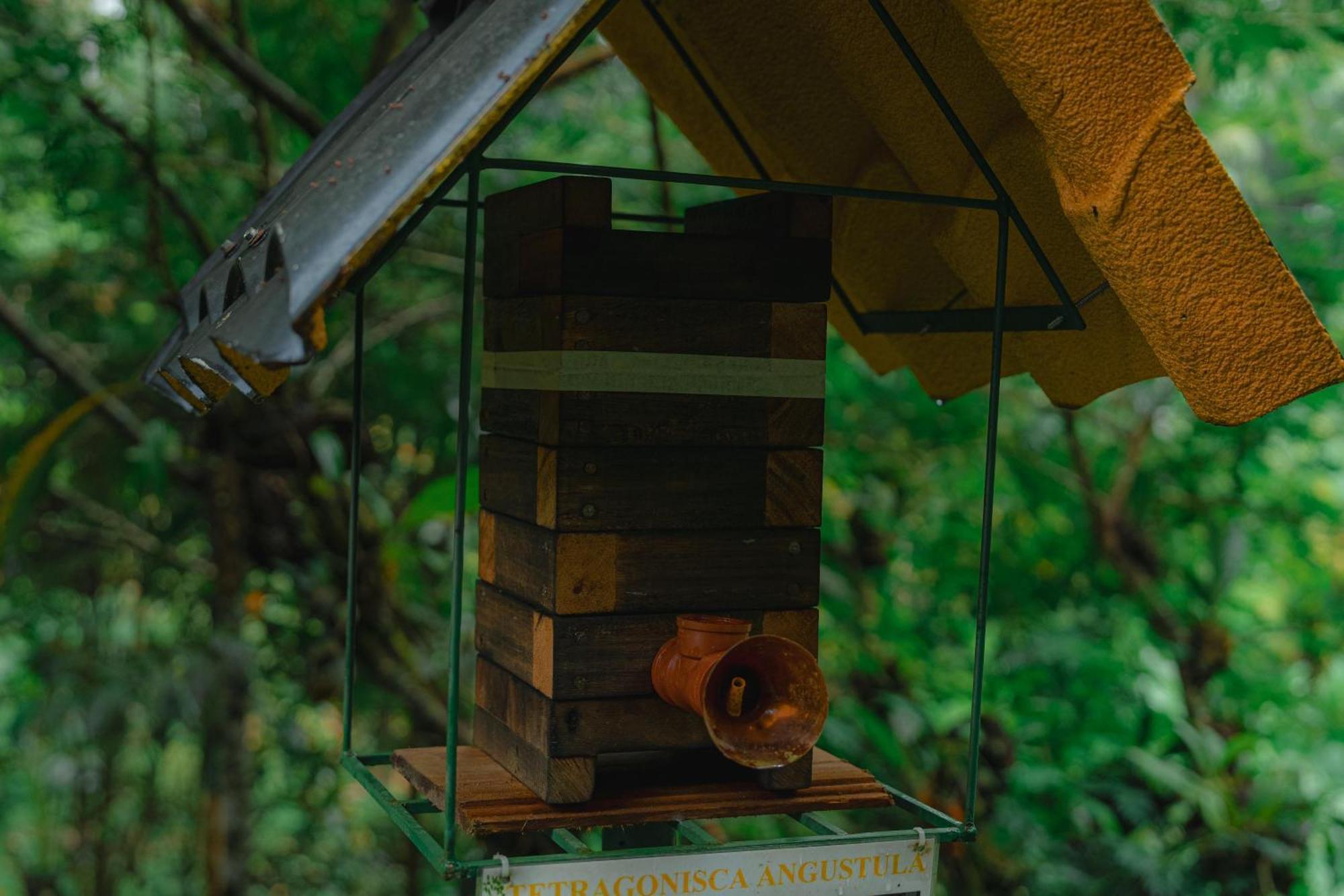 Finca Las Palmas Ecolodge Puyo Dış mekan fotoğraf