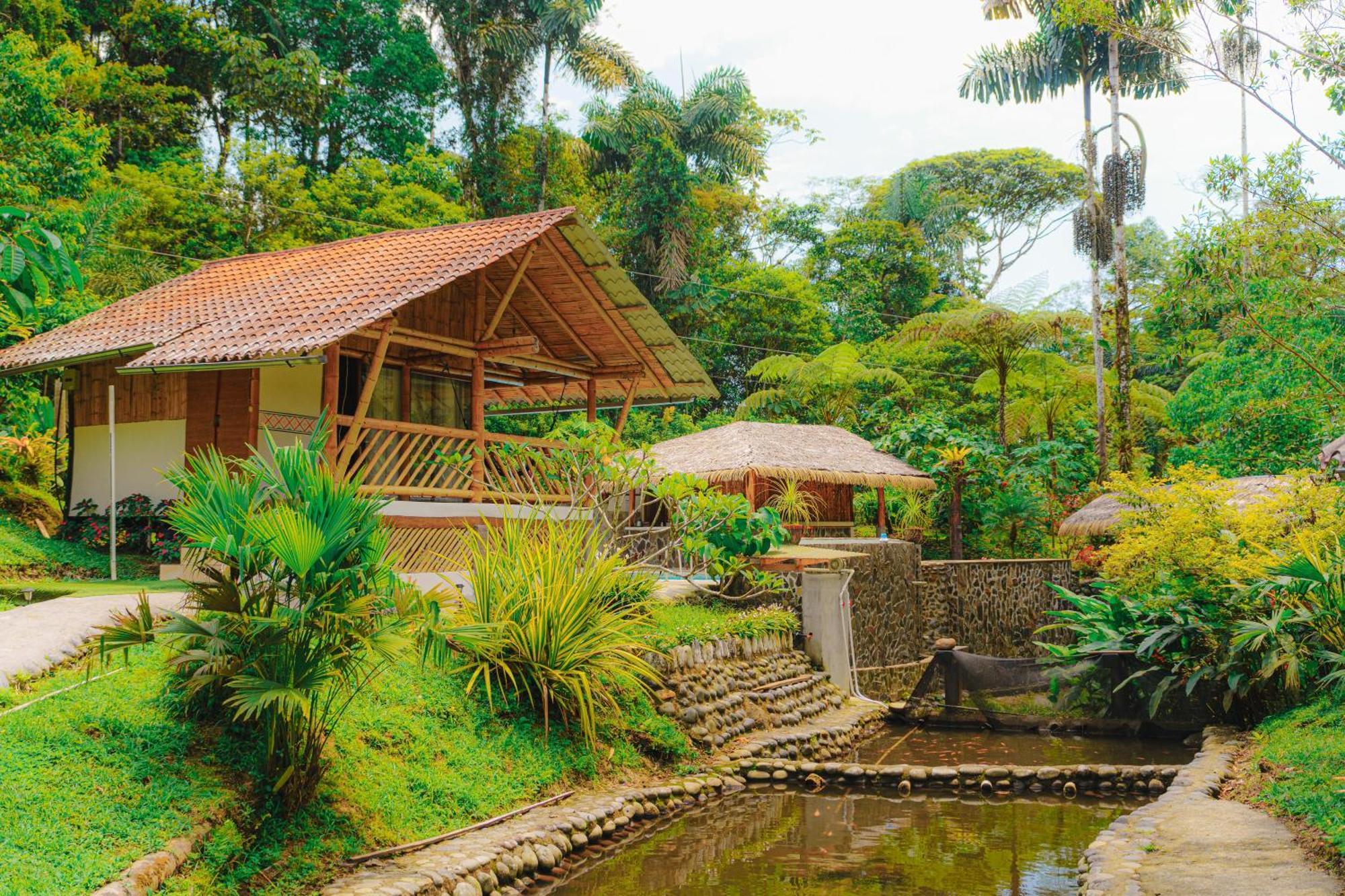 Finca Las Palmas Ecolodge Puyo Dış mekan fotoğraf