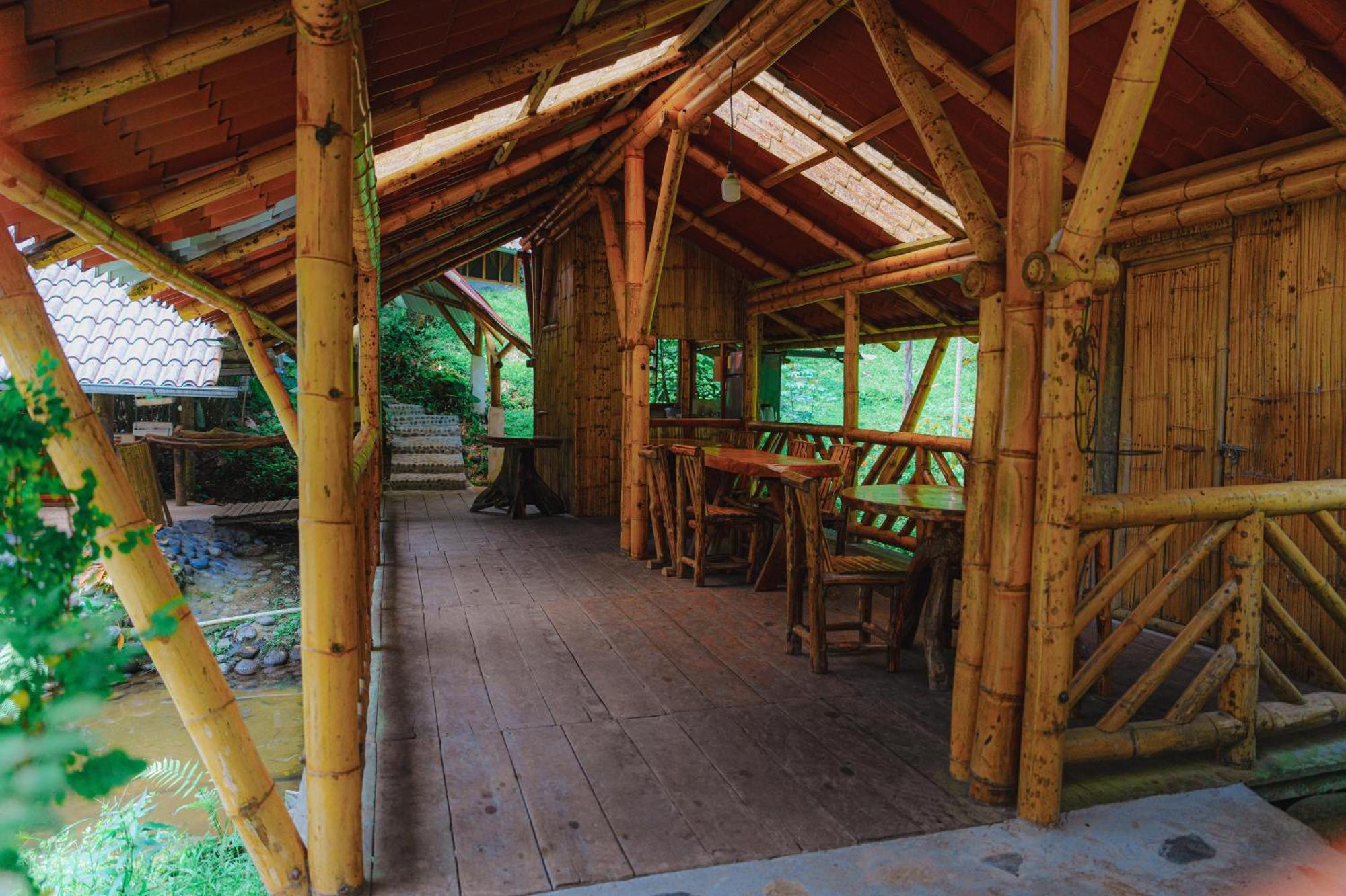 Finca Las Palmas Ecolodge Puyo Dış mekan fotoğraf