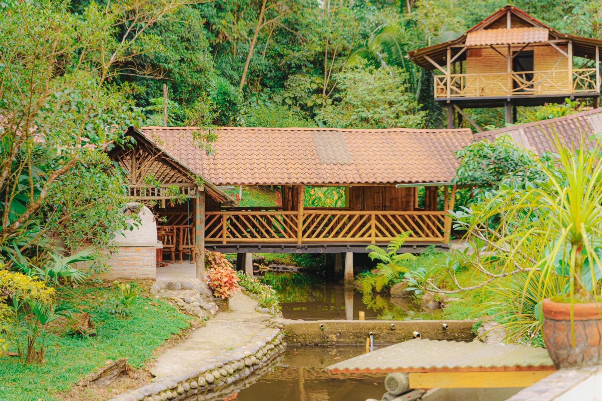 Finca Las Palmas Ecolodge Puyo Dış mekan fotoğraf